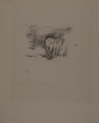 Study of a Horse