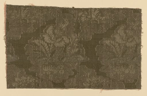 Fragment