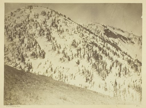 Snow Peaks, Bull Run Mining District, Nevada