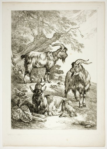 Plate Seventeen of 38 from Oeuvres de J. B. Huet