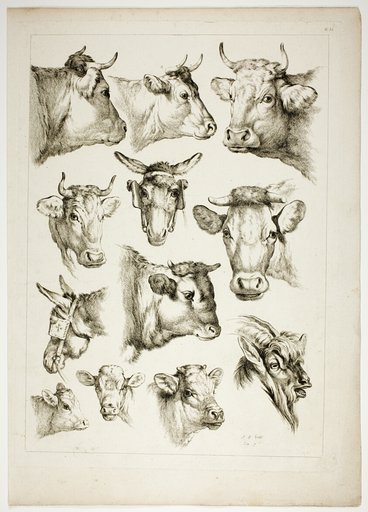 Plate 35 of 38 from Oeuvres de J. B. Huet