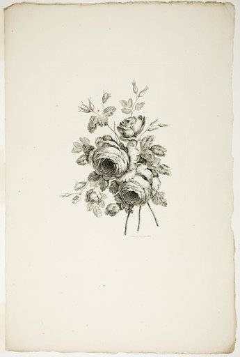 Bouquet with Roses, from Collection of Different Bouquets of Flowers, Invented and Drawn by Jean Pillement and Engraved by P. C. Canot