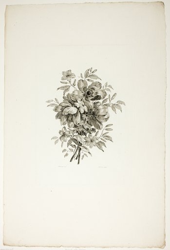 Bouquet with Poppies, from Collection of Different Bouquets of Flowers, Invented and Drawn by Jean Pillement and Engraved by P. C. Canot