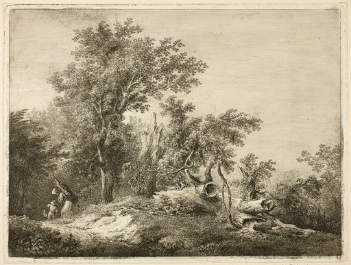 The Fallen Tree Trunk