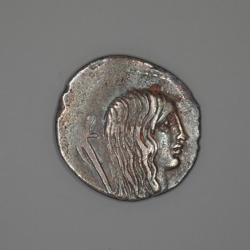 Denarius (Coin) Depicting a Female Head