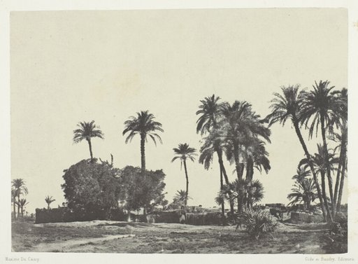Village de Hamameh, Haute-Egypte, plate 21 from the album "Egypte, Nubie, Palestine et Syrie" (1852)