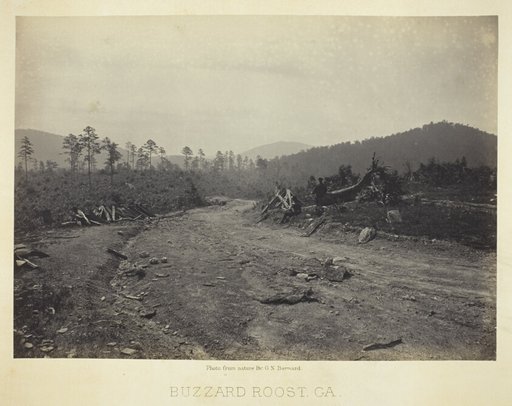 Buzzard Roost, GA
