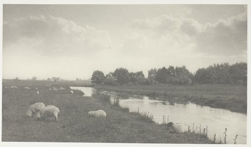 On the River Bure