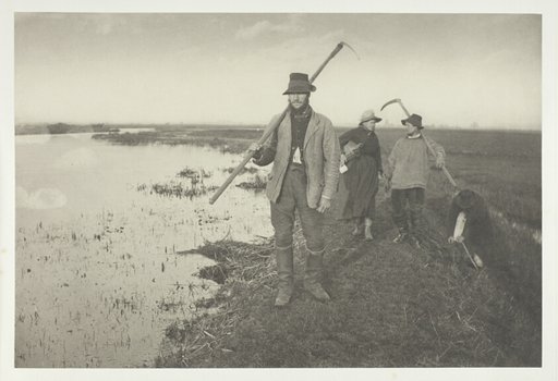 Coming Home from the Marshes