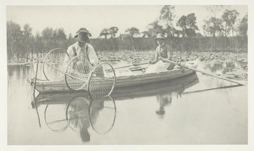 Setting the Bow-Net
