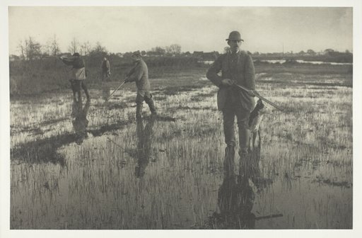 Snipe-Shooting