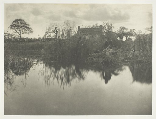 Quanting the Gladdon