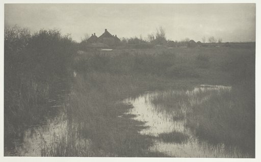 The Fringe of the Marsh