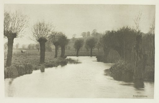 Mouth of the River Ash