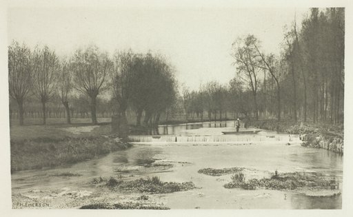 The Shoot, Amwell Magna Fishery