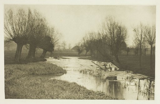 A Backwater on the Lea