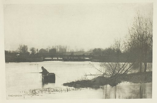 Field's Weir, Near Rye House