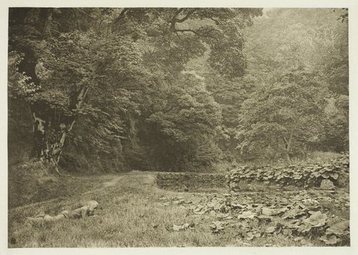 A Quiet Nook in Beresford Dale