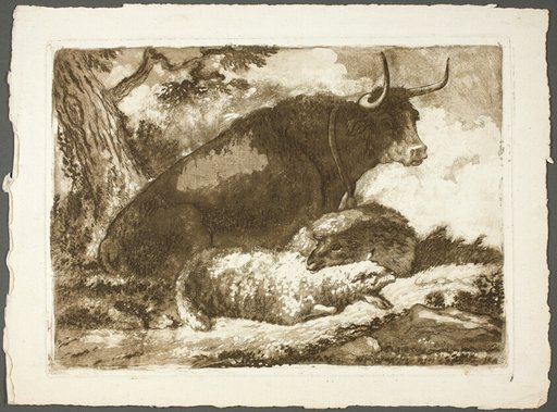 A Bull and Two Sheep