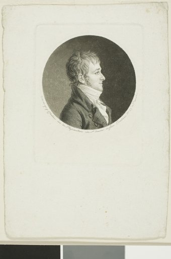 Portrait of a Man with Brown Hair