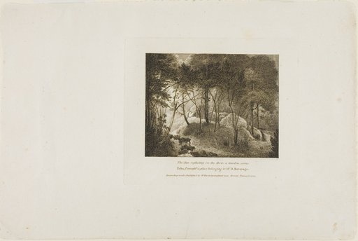 Sun Reflecting on the Dew, A Garden Scene