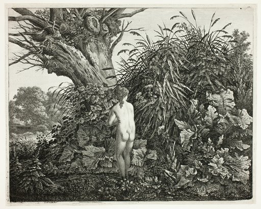 Nymph in a Marshy Woodland