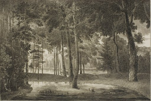 View from the Elysian Bower