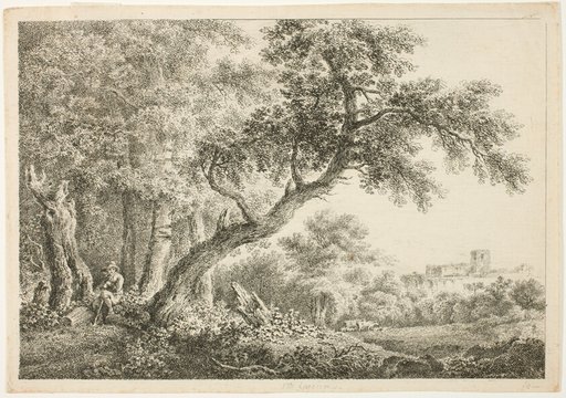 Wanderer Resting in the Forest