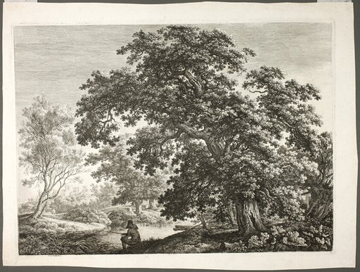 Fisherman in Wooded Landscape