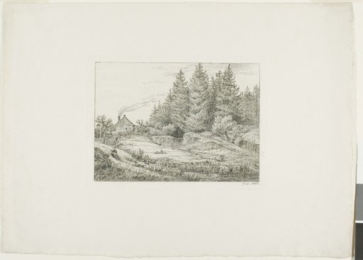 Farmhouse in an Evergreen Forest