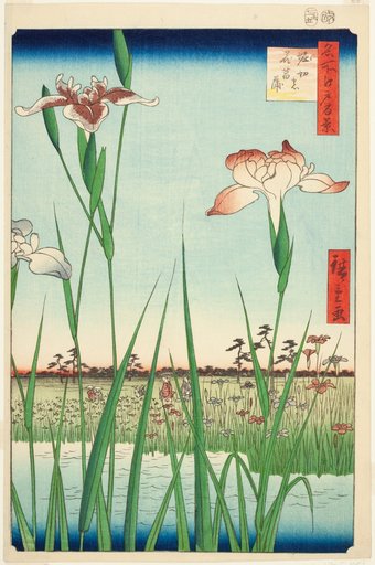 Irises at Horikiri (Horikiri no hanashobu), from the series "One Hundred Famous Views of Edo (Meisho Edo hyakkei)"
