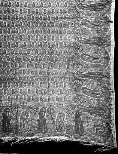 Long Shawl