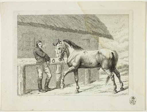 Riding School and Horses