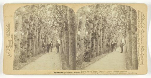 Queen Mary's Bower, Hampton Court, London, England
