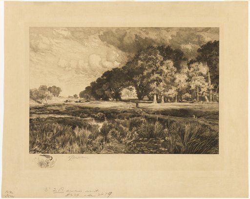 Long Island Landscape
