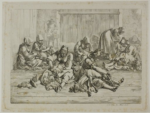 Sheepshearing