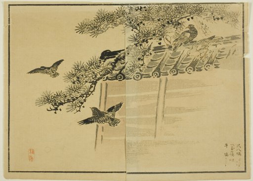 Three Kinds of Birds by a Wall