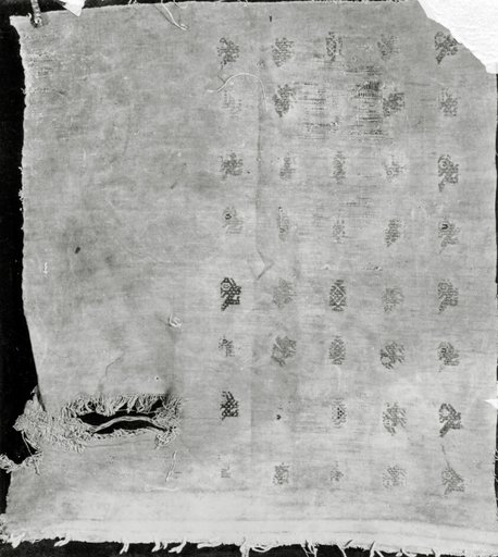 Fragment