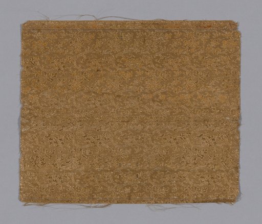 Fragment