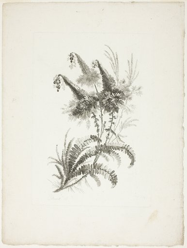 Bouquet, from Collection of New Flowers of Taste for the Manufacture of Persian Cloth, Invented and Drawn by Jean Pillement