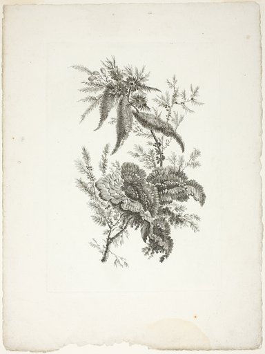 Bouquet, from Collection of New Flowers of Taste for the Manufacture of Persian Cloth, Invented and Drawn by Jean Pillement