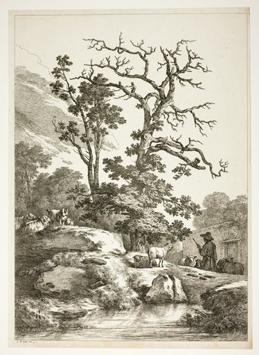 Bucolic Scene
