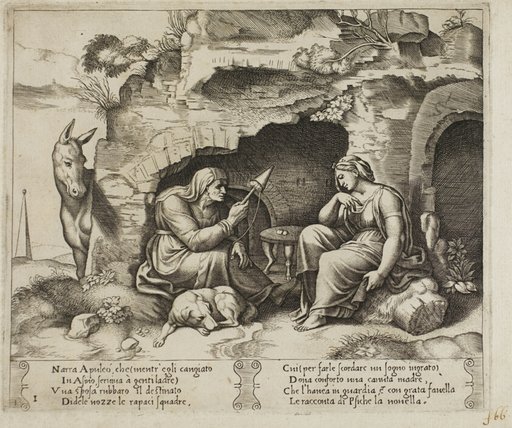 Apuleius Changed into a Donkey