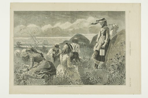 Gathering Berries