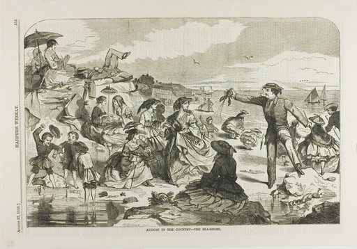 August in the Country—The Seashore