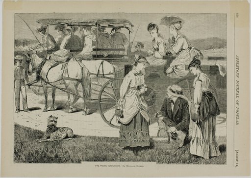 The Picnic Excursion