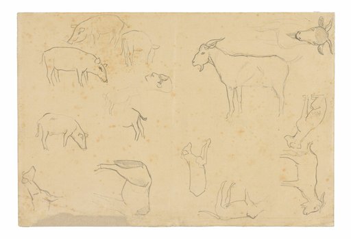 Sketches of Various Animals and Head (recto), Sketches of a Head, Figure in Profile, Anatomical Details, and Animals (verso)