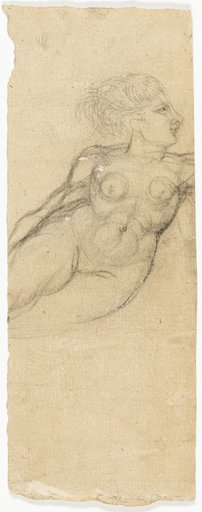 Studies of Nudes