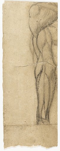 Studies of Nudes