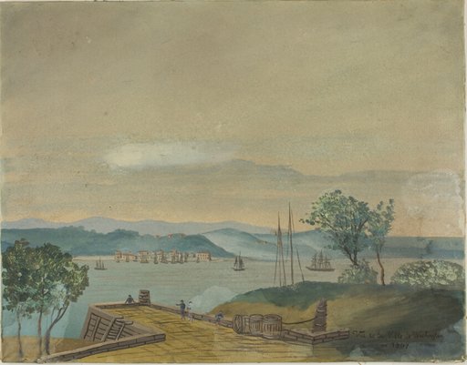 View of the City of Washington in 1807